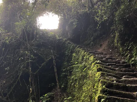 A moss-covered stone stairway and archway on the Inca Trail