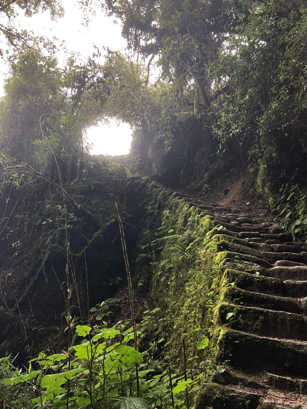 A moss-covered stone stairway and archway on the Inca Trail