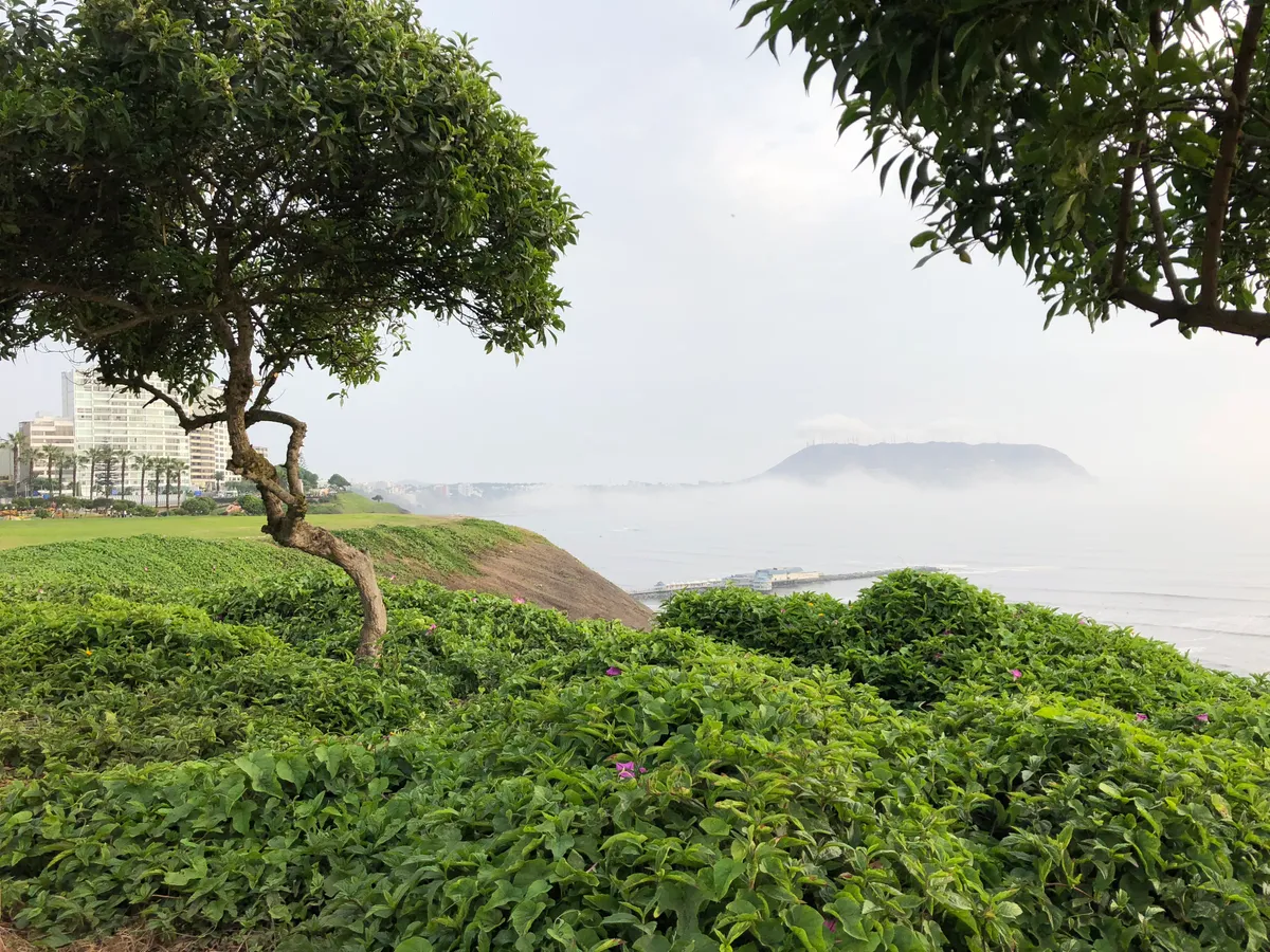Malecón cliffs over the Pacific in Lima