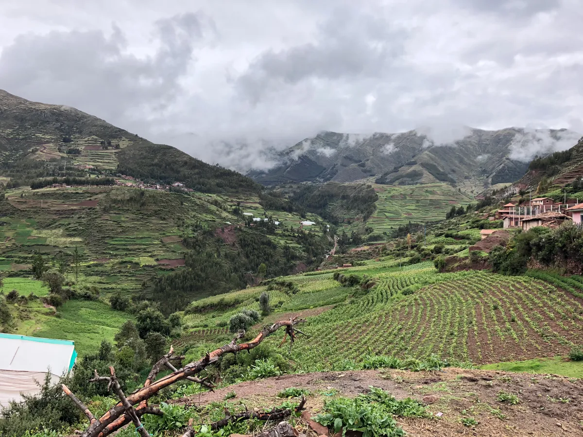 Terraced fields in the Sacred Valley